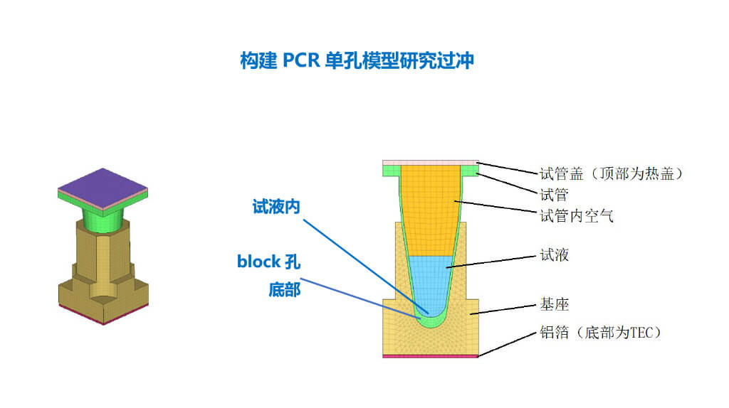 构建PCR单孔模型研究过冲